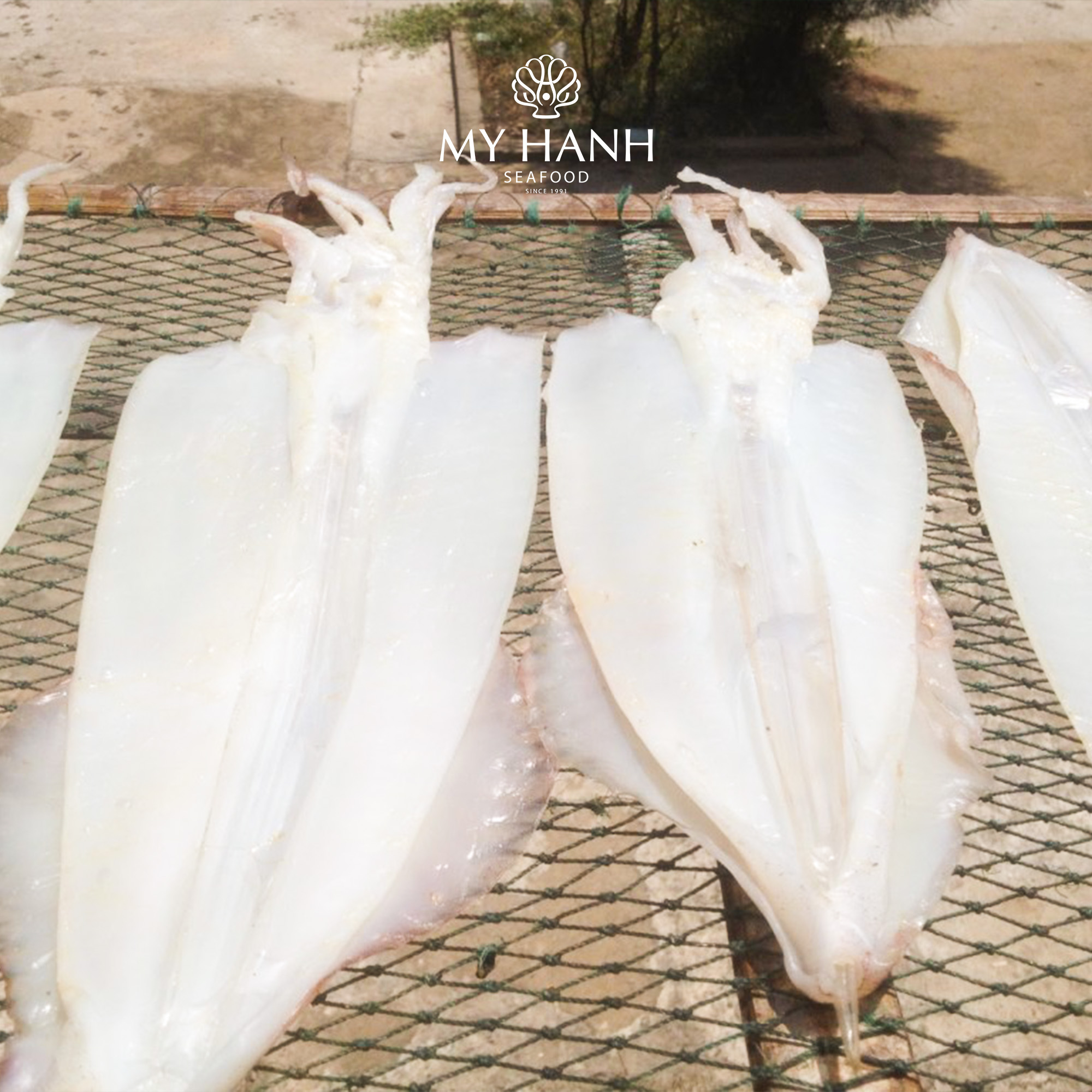 Mực nướng một nắng - Đặc sản biển miền Trung