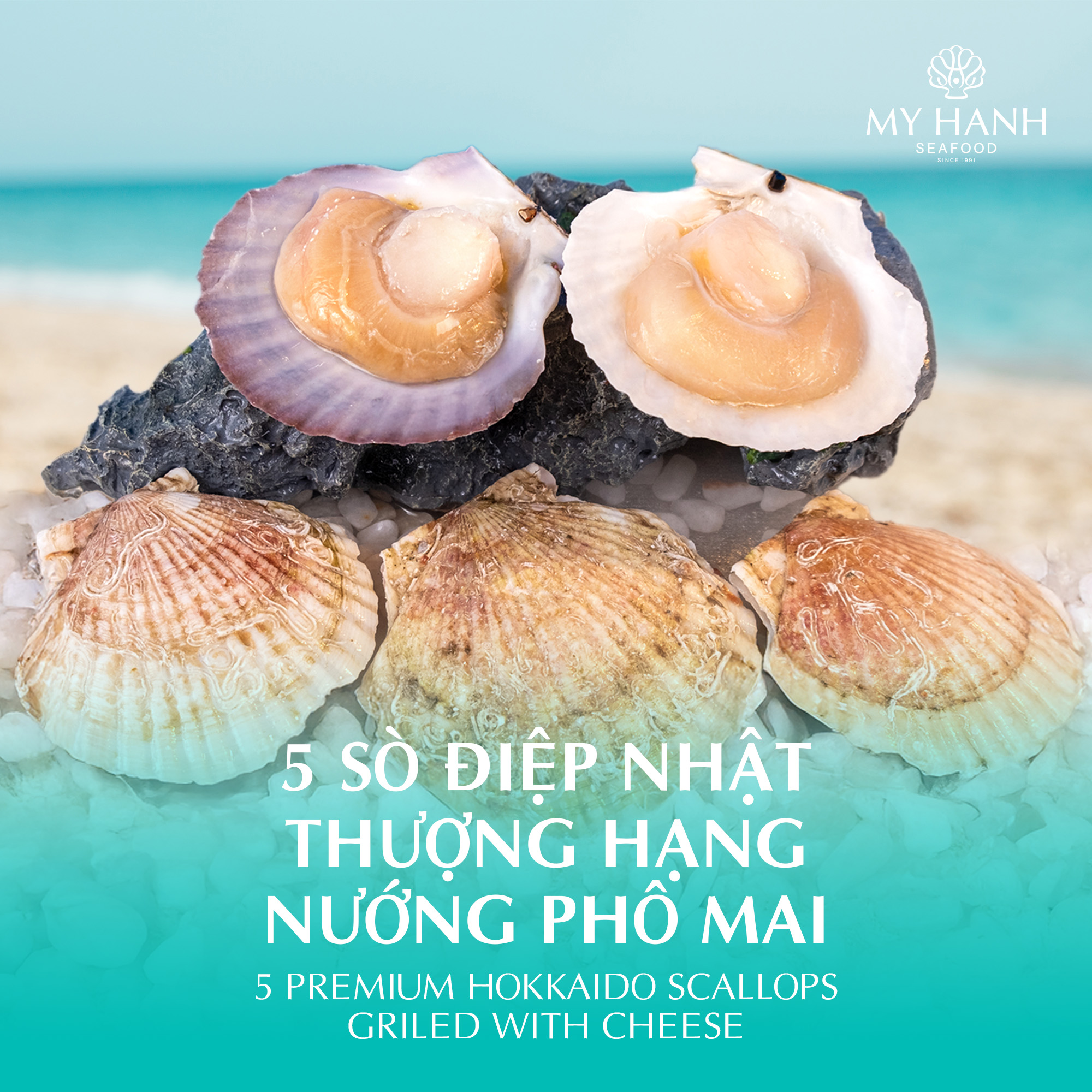 Sò điệp Nhật thượng hạng trong menu combo MICHELIN tại My Hanh Seafood