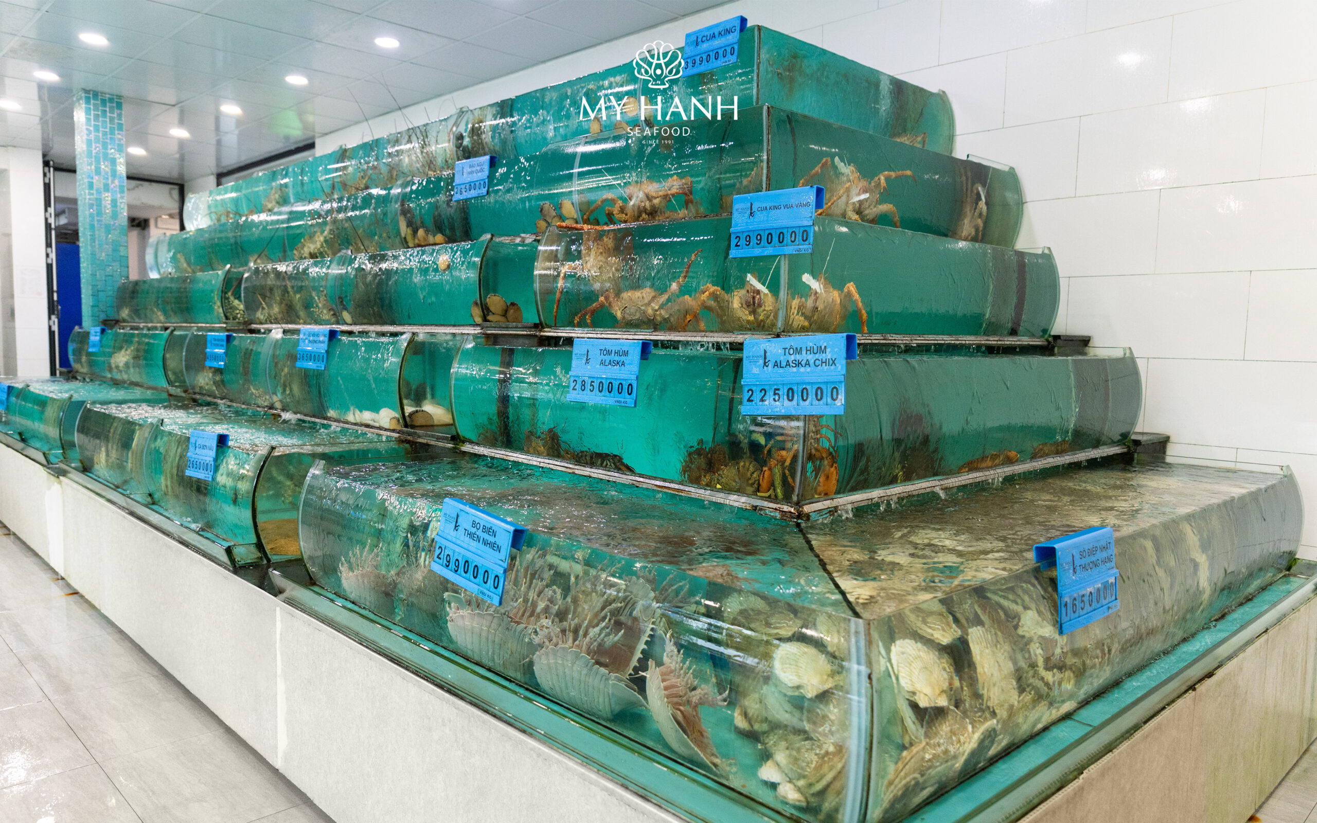 Bọ biển thượng hạng tại My Hanh Seafood