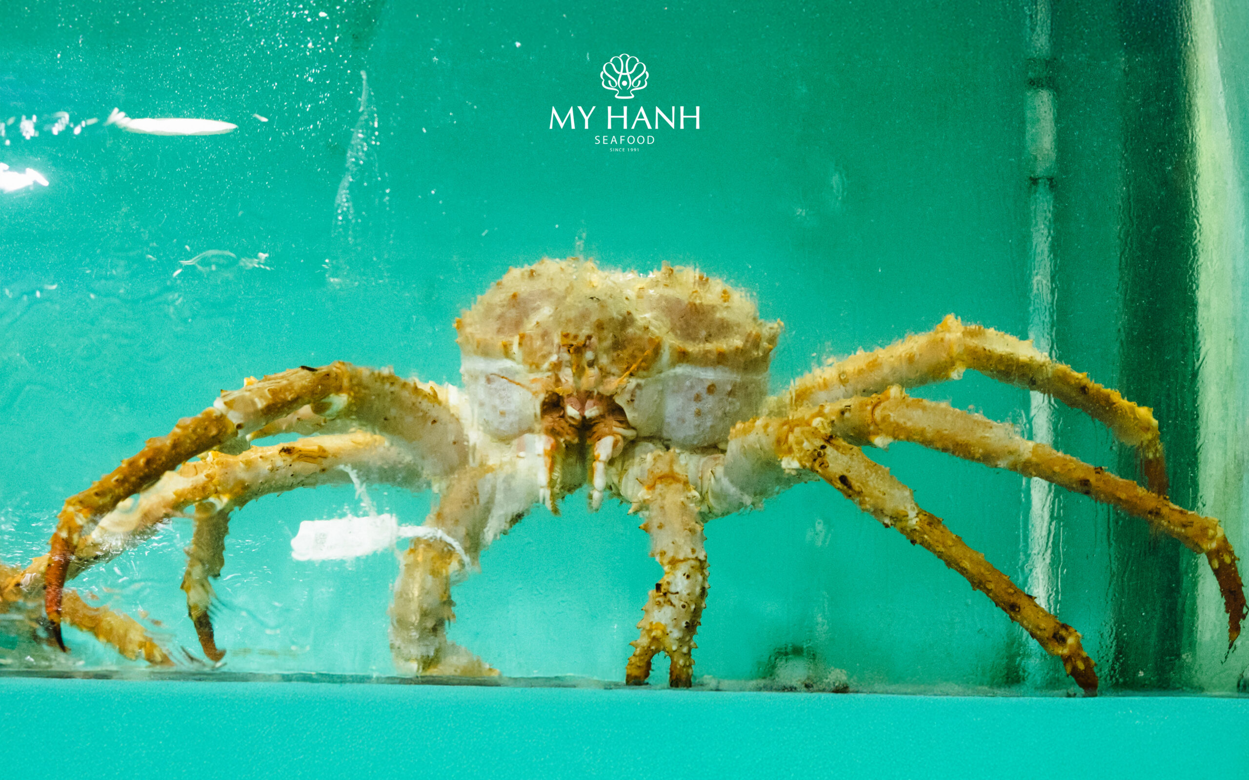 Hải sản tươi sống được nhập mới hằng ngày tại My Hanh Seafood