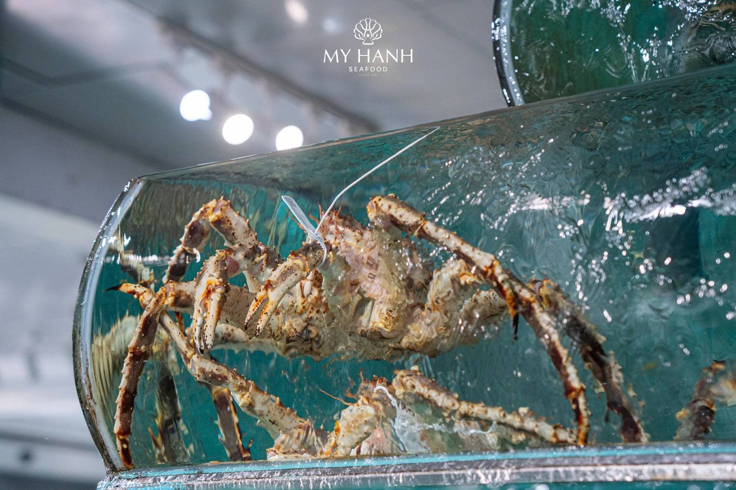 My Hanh Seafood - Trang bị hệ thống bảo quản, bể nuôi hiện đại giúp cua luôn tươi ngon